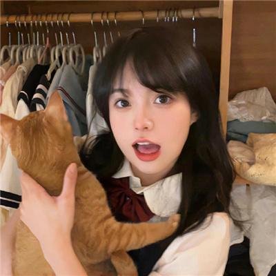 心链